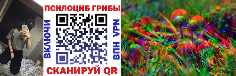 Псилоцибиновые грибы мухоморы  где продают наркотики  Обоянь 